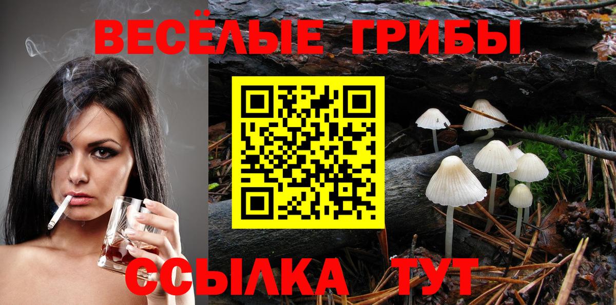 Псилоцибиновые грибы Cubensis Бутурлиновка