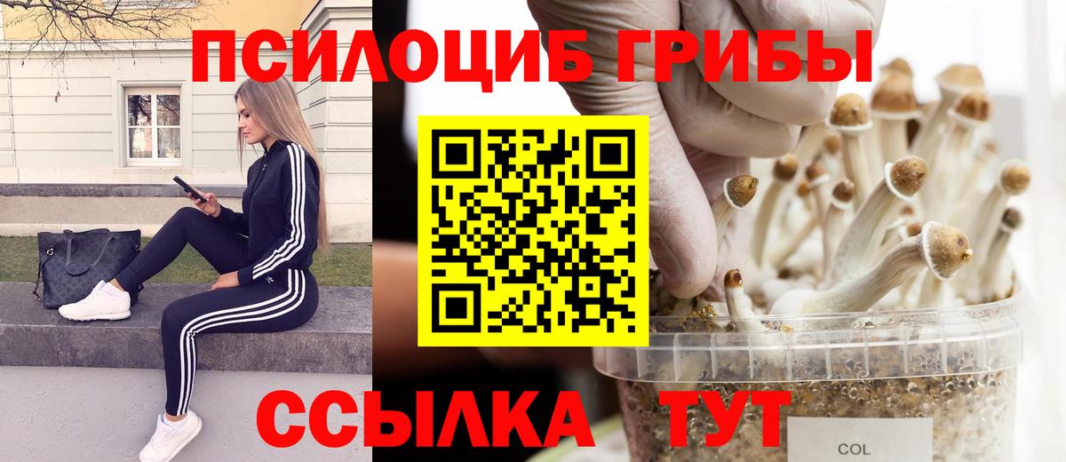 Галлюциногенные грибы Psilocybe  Вход с VPN  Бутурлиновка 